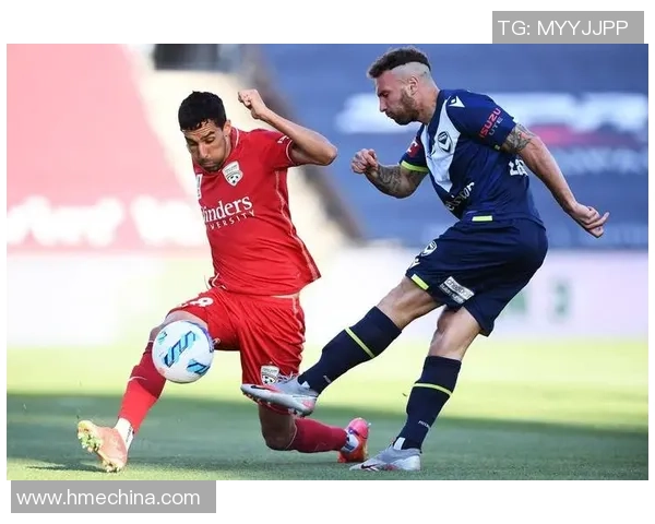 鹿岛鹿角与墨尔本胜利精彩对决集锦回顾与分析